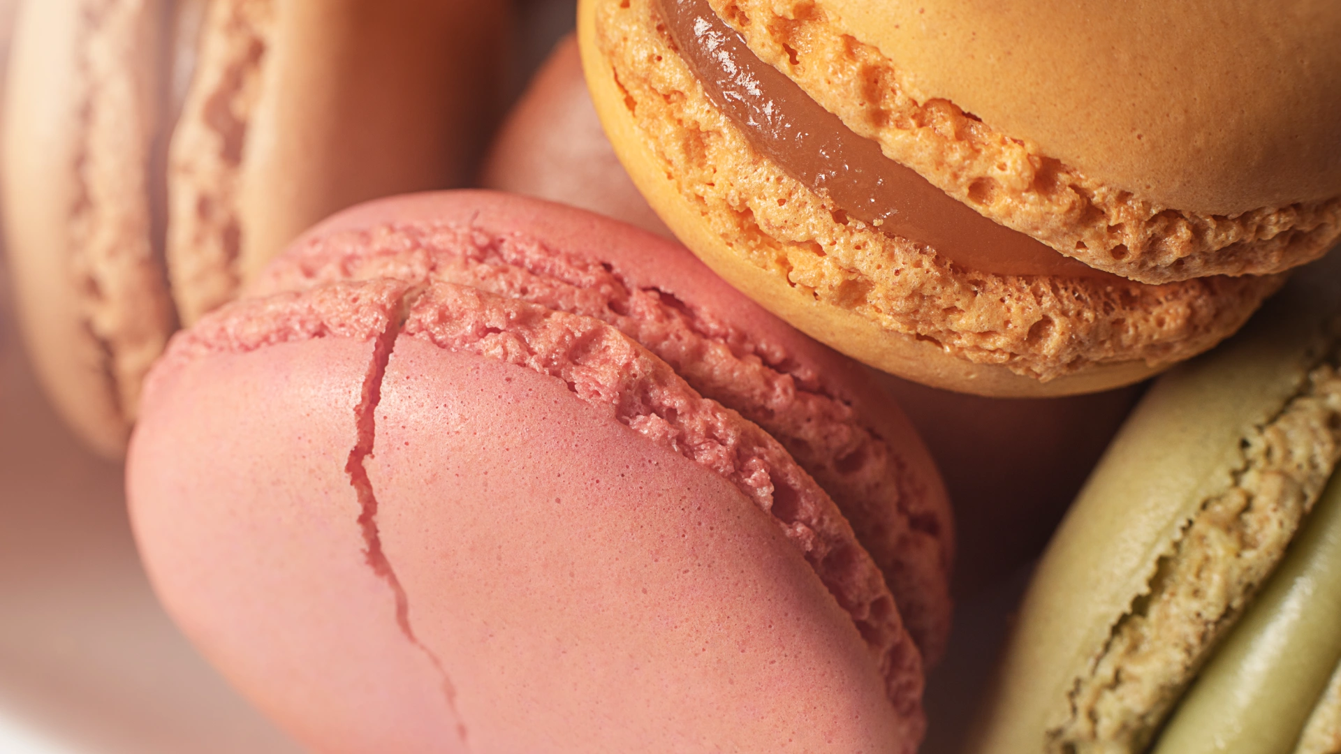 Pâtisserie artisanale Maison Gisèle
